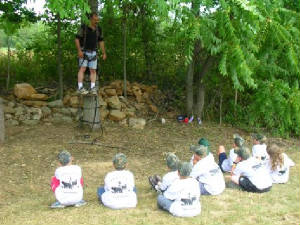 treestand safety