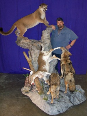 Bob's Taxidermy